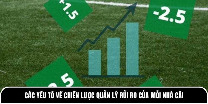 Các yếu tố về chiến lược quản lý rủi ro của mỗi nhà cái