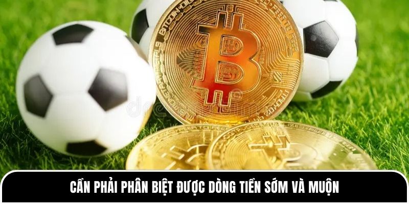 Cần phải phân biệt được dòng tiền sớm và muộn