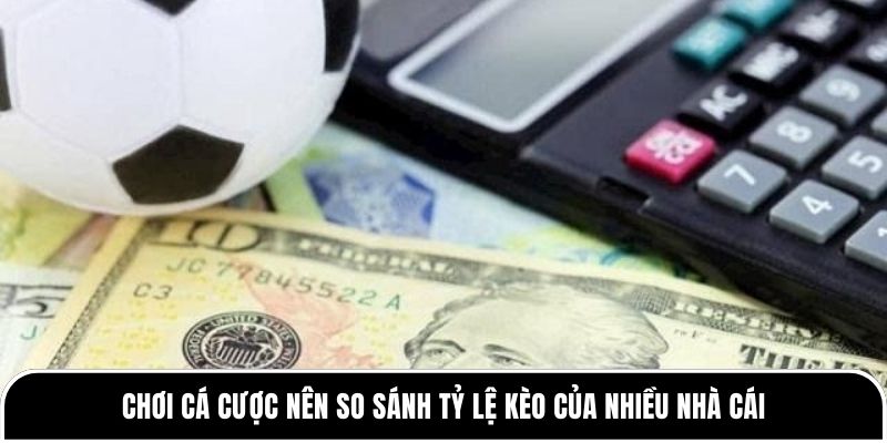 Chơi cá cược nên so sánh tỷ lệ kèo của nhiều nhà cái