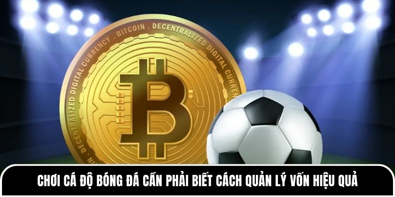 Chơi cá độ bóng đá cần phải biết cách quản lý vốn hiệu quả