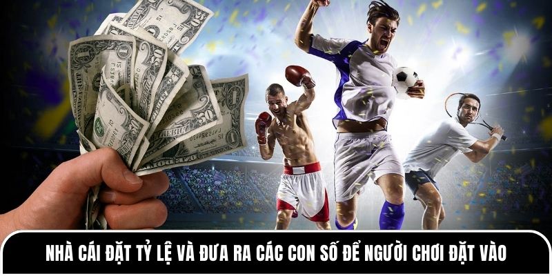 Nhà cái đặt tỷ lệ và đưa ra các con số để người chơi đặt vào