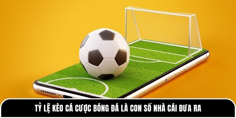 Tỷ lệ kèo cá cược bóng đá là con số nhà cái đưa ra