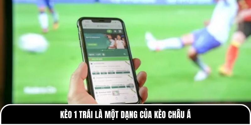Kèo 1 trái là một dạng của kèo châu Á