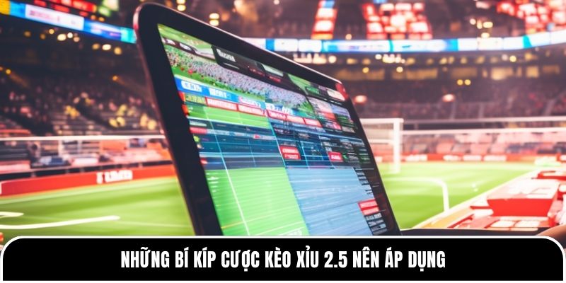 Những bí kíp cược kèo Xỉu 2.5 nên áp dụng 